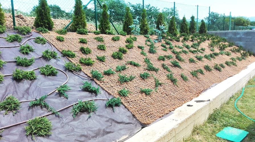 Geowłóknina jako środek do zwalczania chwastów
